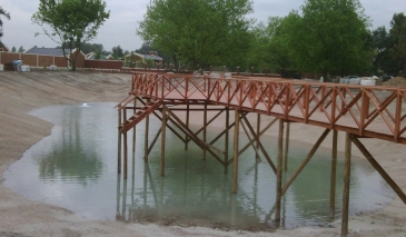 LagunaArtboard 12
