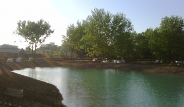 LagunaArtboard 14