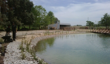 LagunaArtboard 8